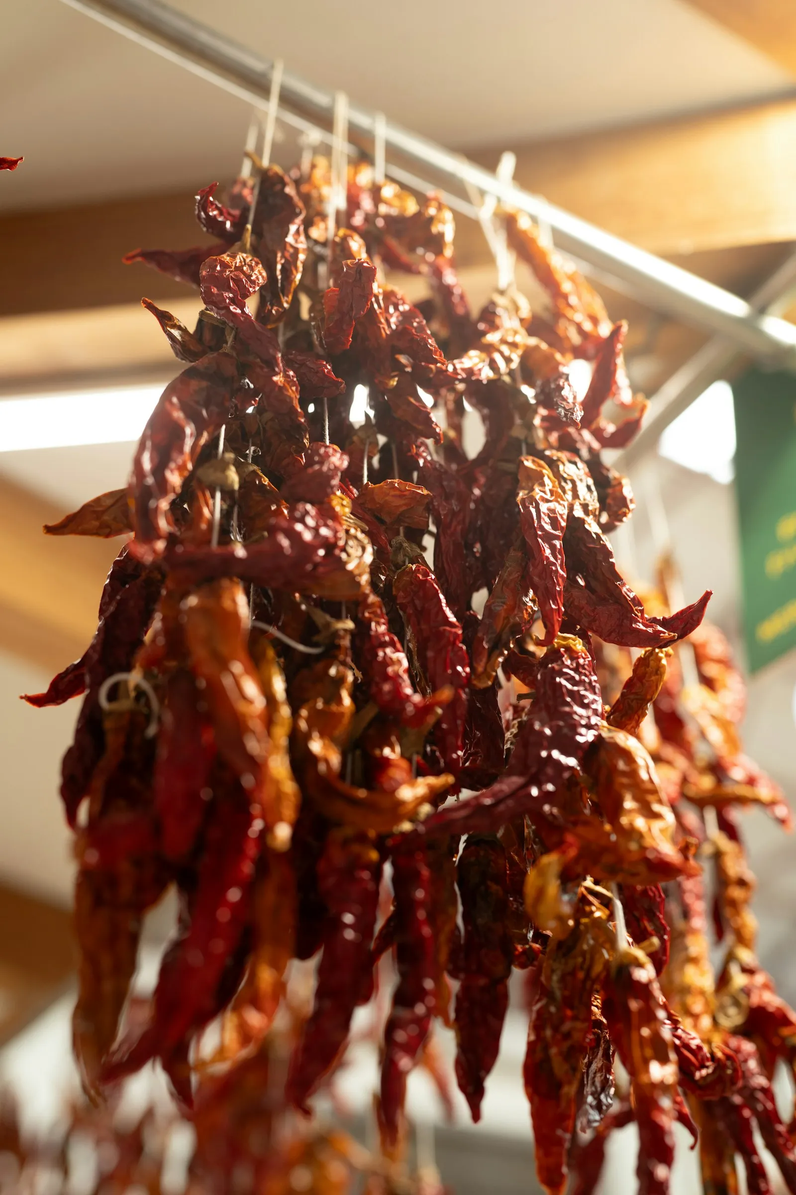 Bundles of dried red chili peppers hanging in a kitchen